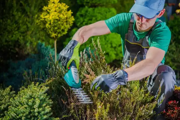 landscaping services Falmouth Foreside